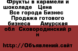 Фрукты в карамели и шоколаде › Цена ­ 50 000 - Все города Бизнес » Продажа готового бизнеса   . Амурская обл.,Сковородинский р-н